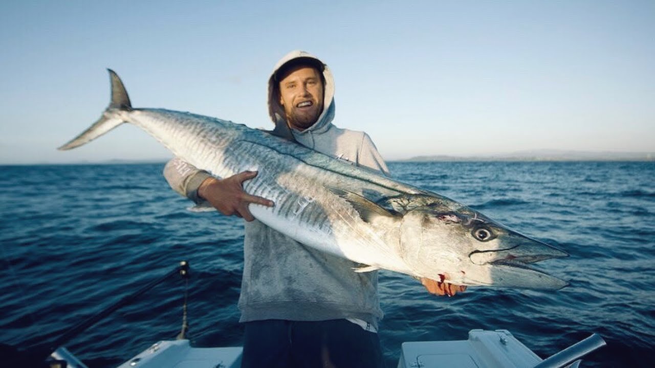 32KG Gold Coast Spanish Mackerel
