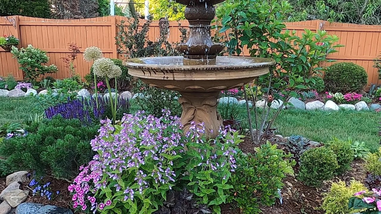 Weekly Garden Walkabout and Tour 🌿🌸🌺 // Suburban Oasis June 2021