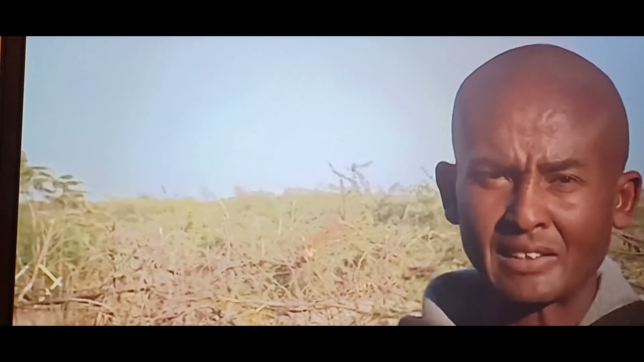 Woyane's ideology part 1