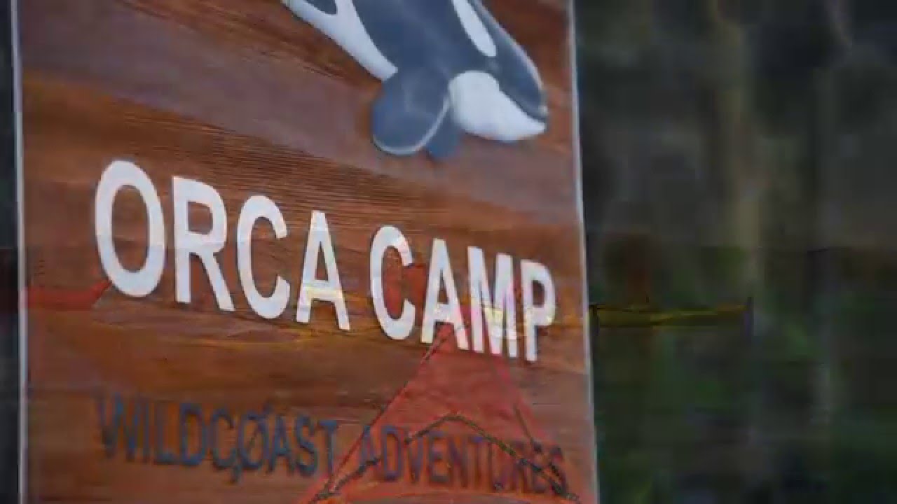 Wildcoast Adventures Orca Camp, Johnstone Strait British Columbia