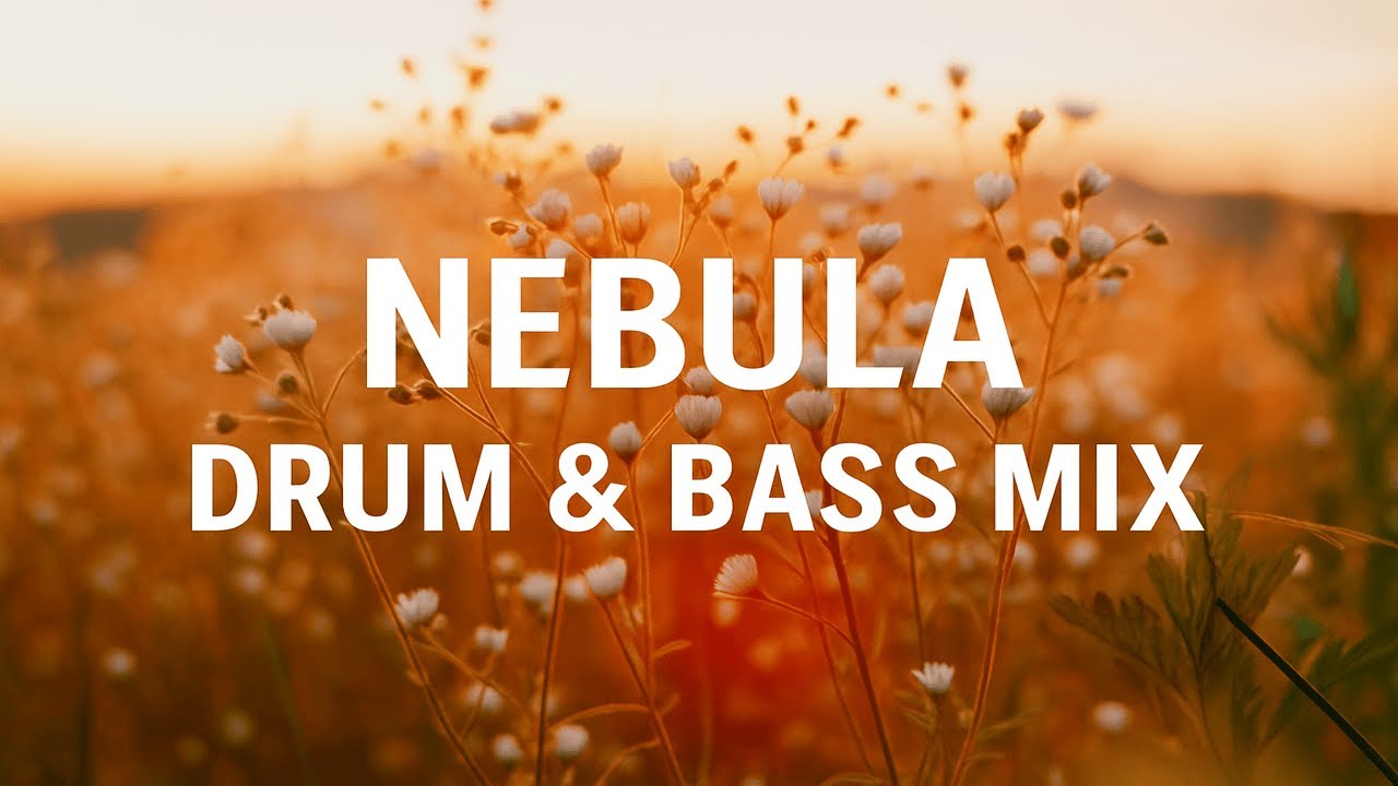 Drum and Bass Mix 2025 - Volume #2 🔥 | High Energy DnB | Kanine - Sub Focus - Andromedik - NEBULA