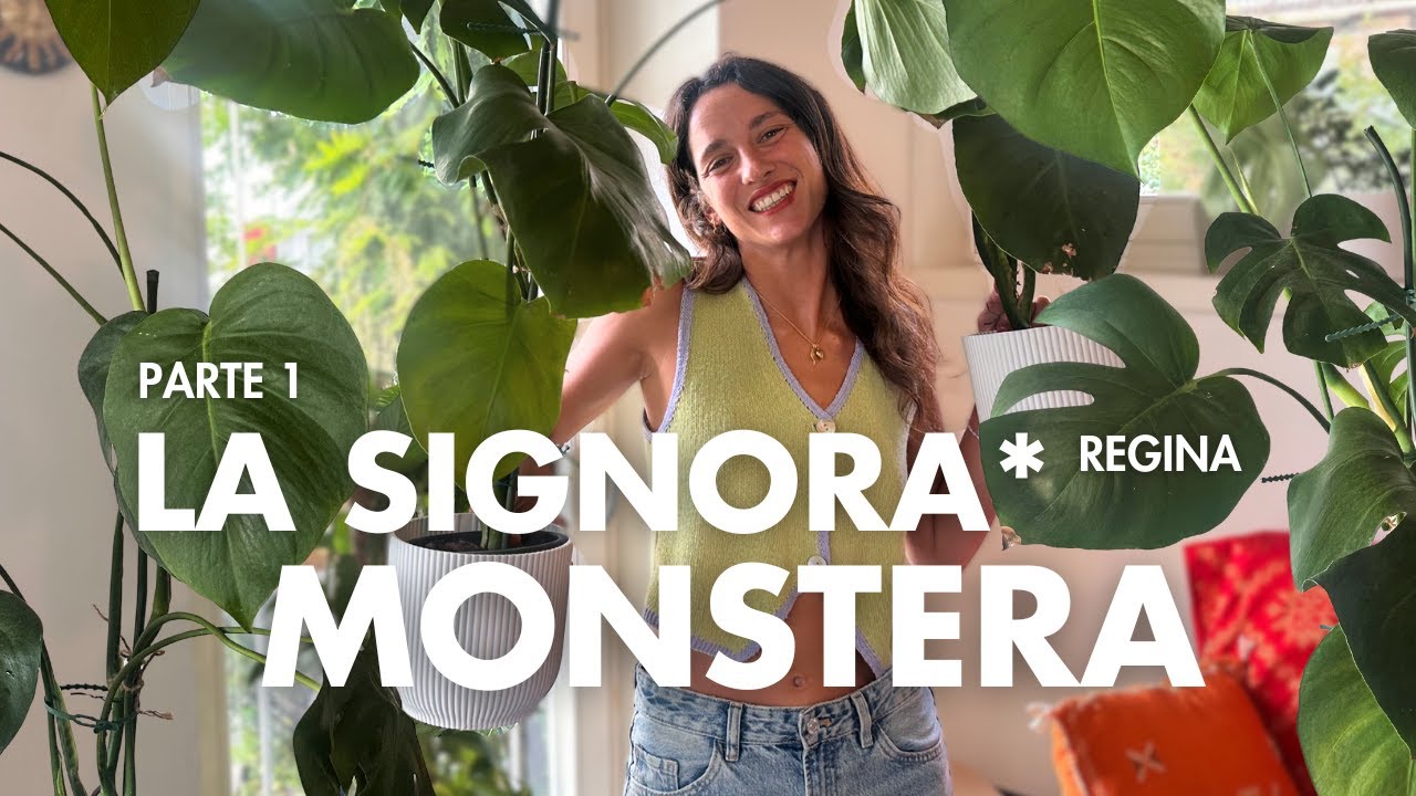 EP.13 | LA SIGNORA MONSTERA (parte 1)