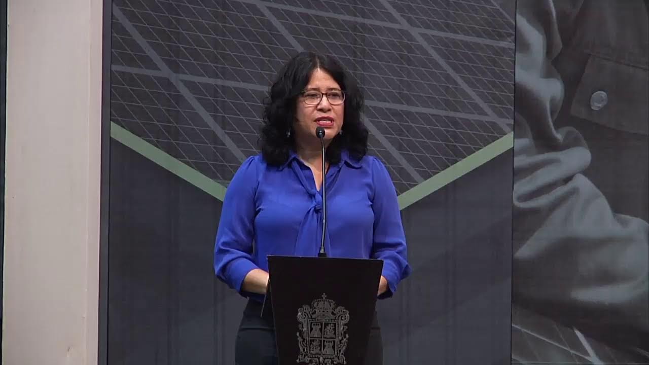 PROGRAMA DE IMPLEMENTACIÓN DE ENERGÍA LIMPIA