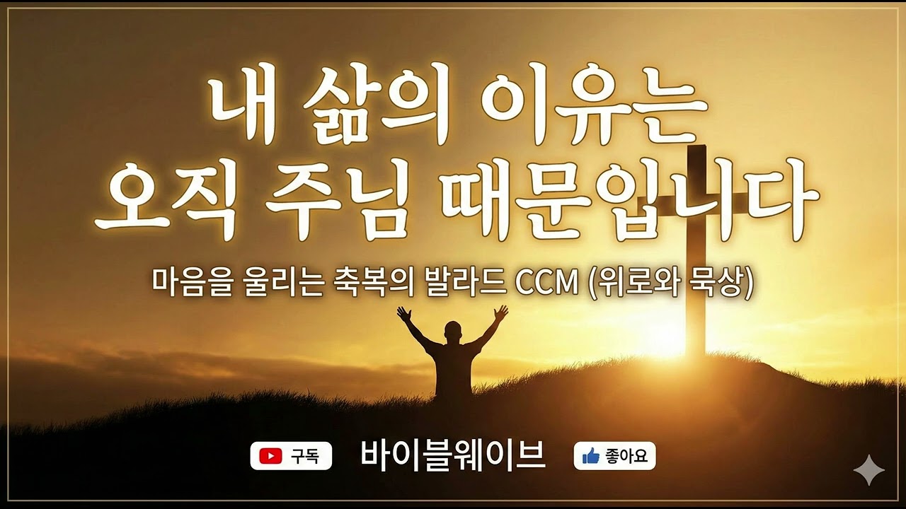내 삶의 이유는 오직 주님 때문입니다 | 마음을 울리는 축복의 발라드 CCM (위로와 묵상) #바이블웨이브 #내삶의이유 #주님때문이라