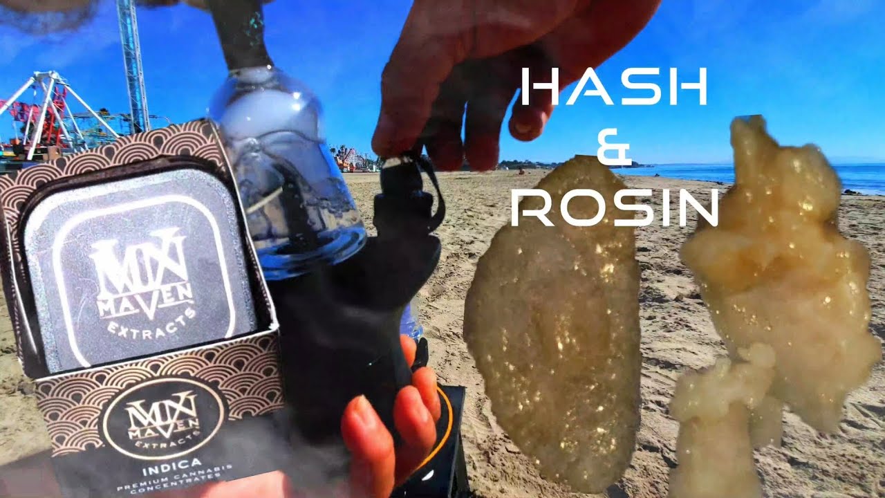 FAT ROSIN & HASH SESH with Maven Extracts!!