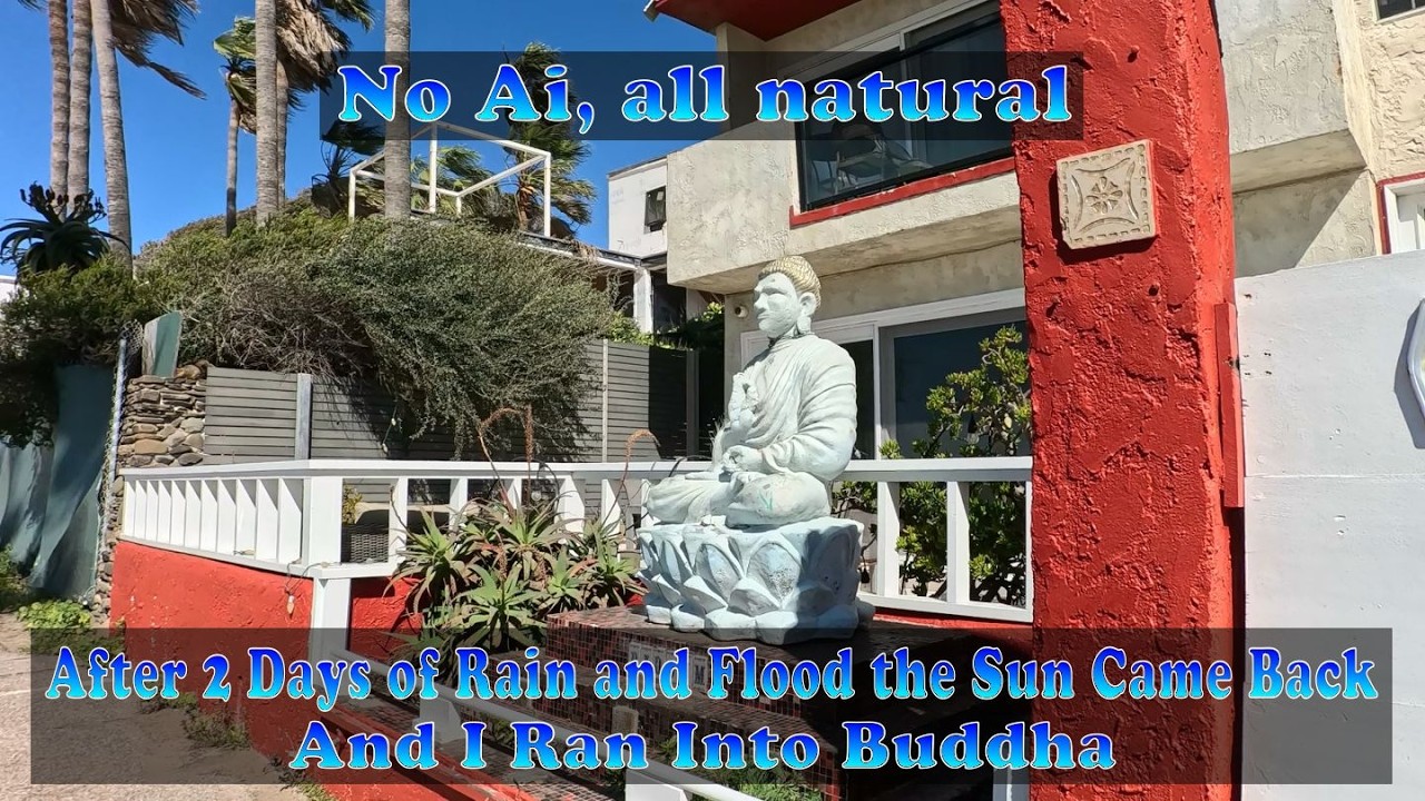 After the Rains and Floods | No Ai, all natural | 2/16/2026