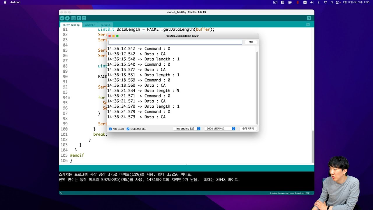 Receiving a packet in a buffer and parsing it in Arduino