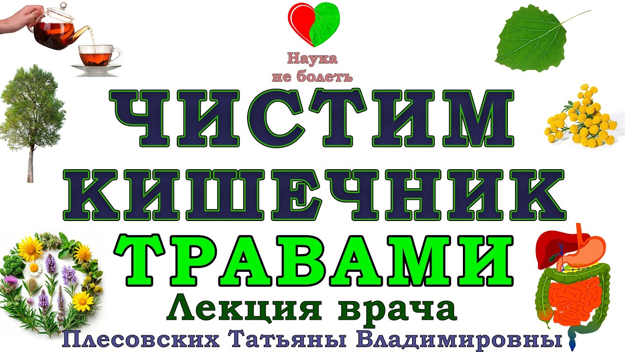 ОЧИЩЕНИЕ ОРГАНИЗМА ТРАВАМИ -||- ОЧИЩЕНИЕ КИШЕЧНИКА -||- фитотерапевт ПЛЕСОВСКИХ Т.В.