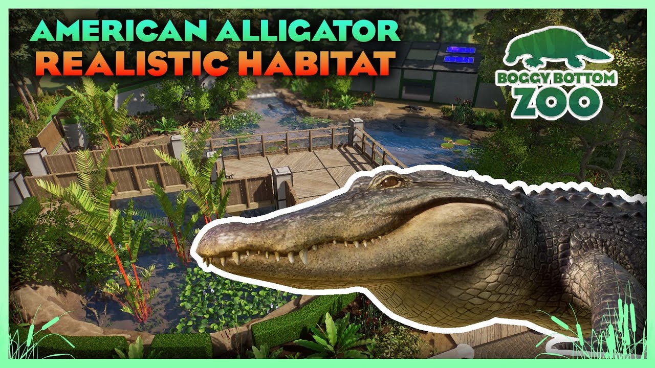 Alligator Pond! | Boggy Bottom Zoo