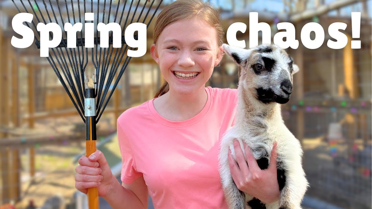CRAZY spring cleaning with BABY ANIMALS!