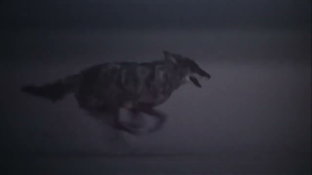 Opening scene of the movie desert heat or inferno