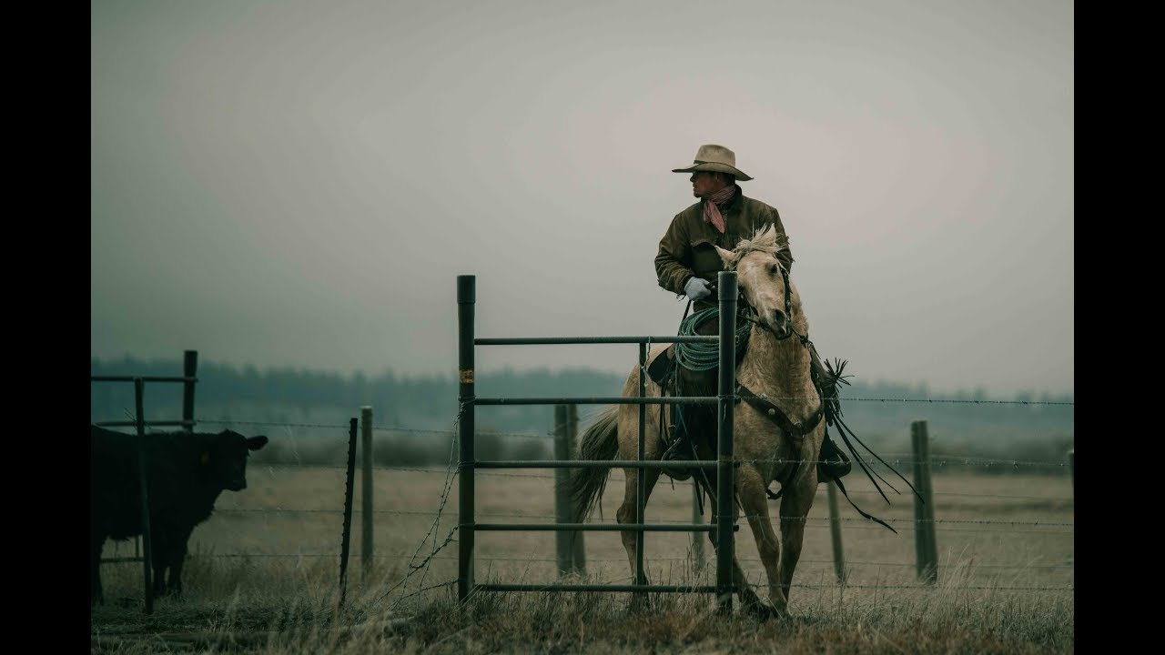 Rounding Up Cows For The WINTER | IDAHO RANCHING