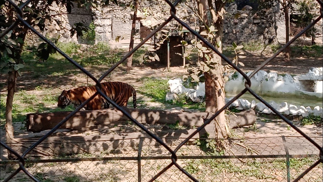 #আলিপুর