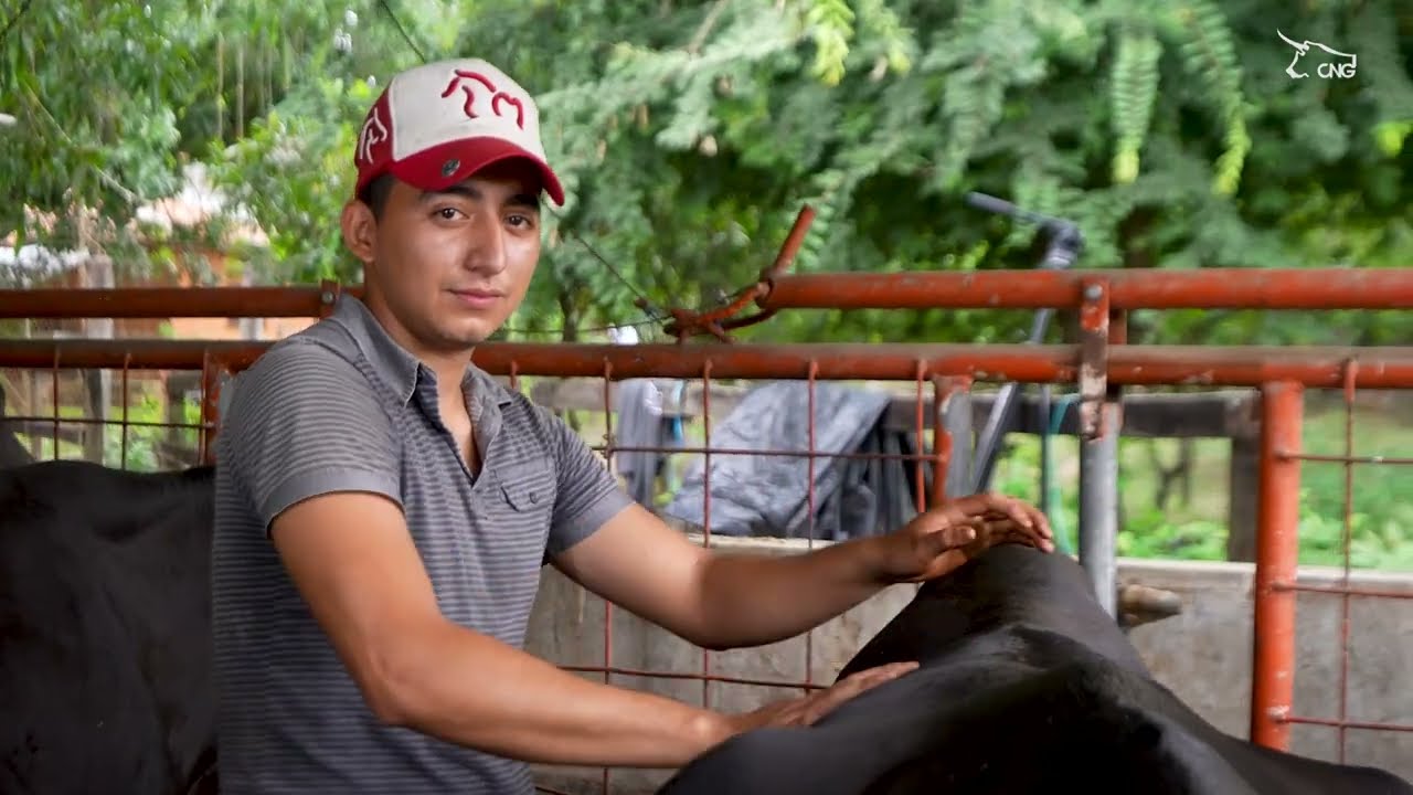 Sobre la ganadería sustentable en Chiapas