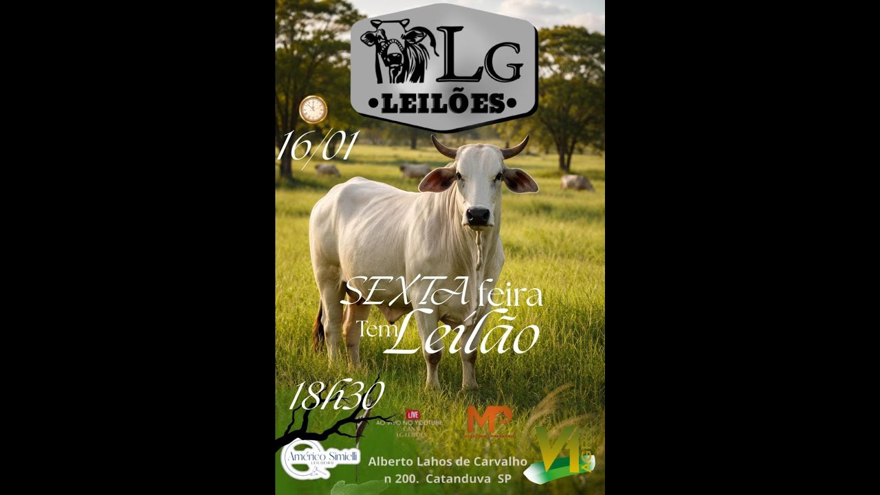 🛑 Lg Leilões - AO VIVO - Catanduva/SP - 16/01/2026