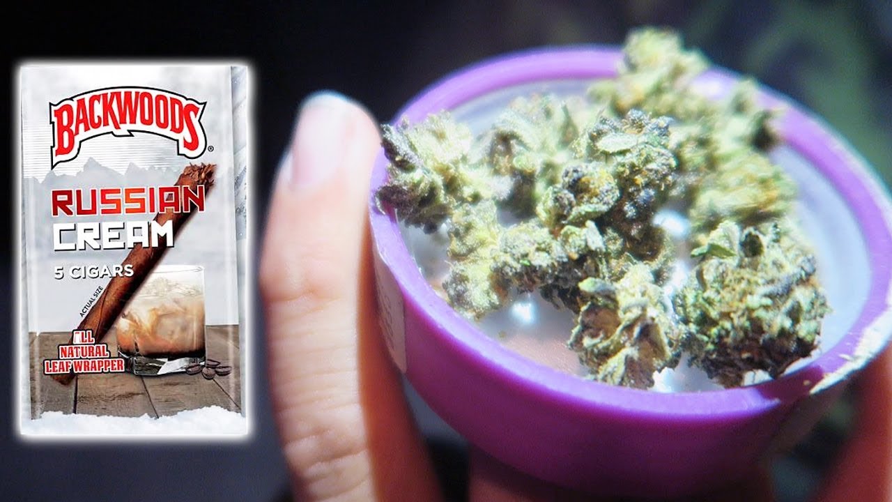 BLUE COOKIES IN A RUSSIAN CREAM BACKWOOD!!!