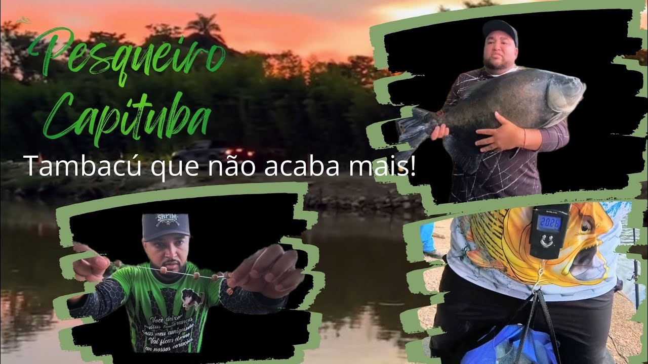 Chuva de Tambacu CHAMA! Pesqueiro Capituba pescaria garantida.