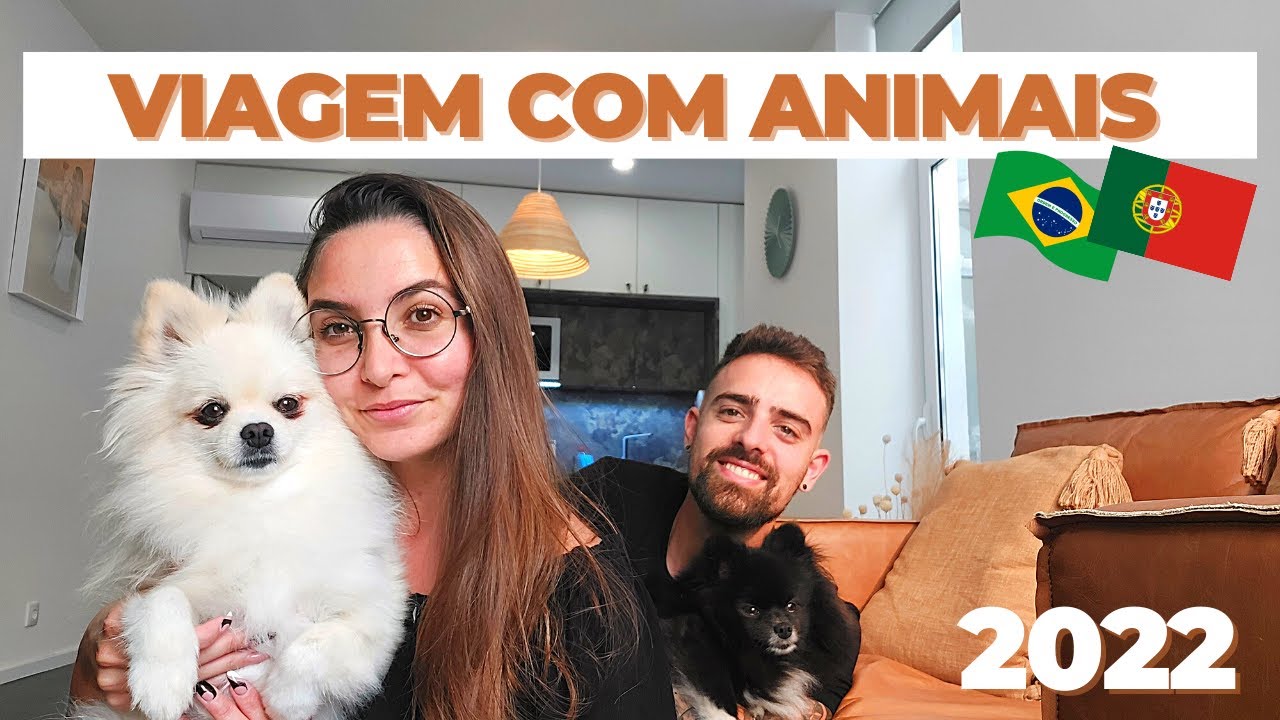 COMO VIAJAR COM SEU ANIMAL DE PORTUGAL PARA O BRASIL