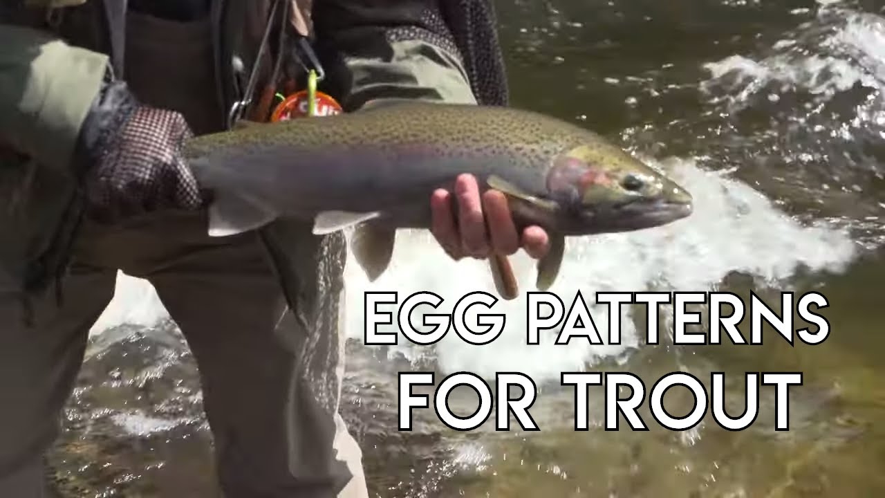 Using An Egg Pattern For Steelhead & Trout