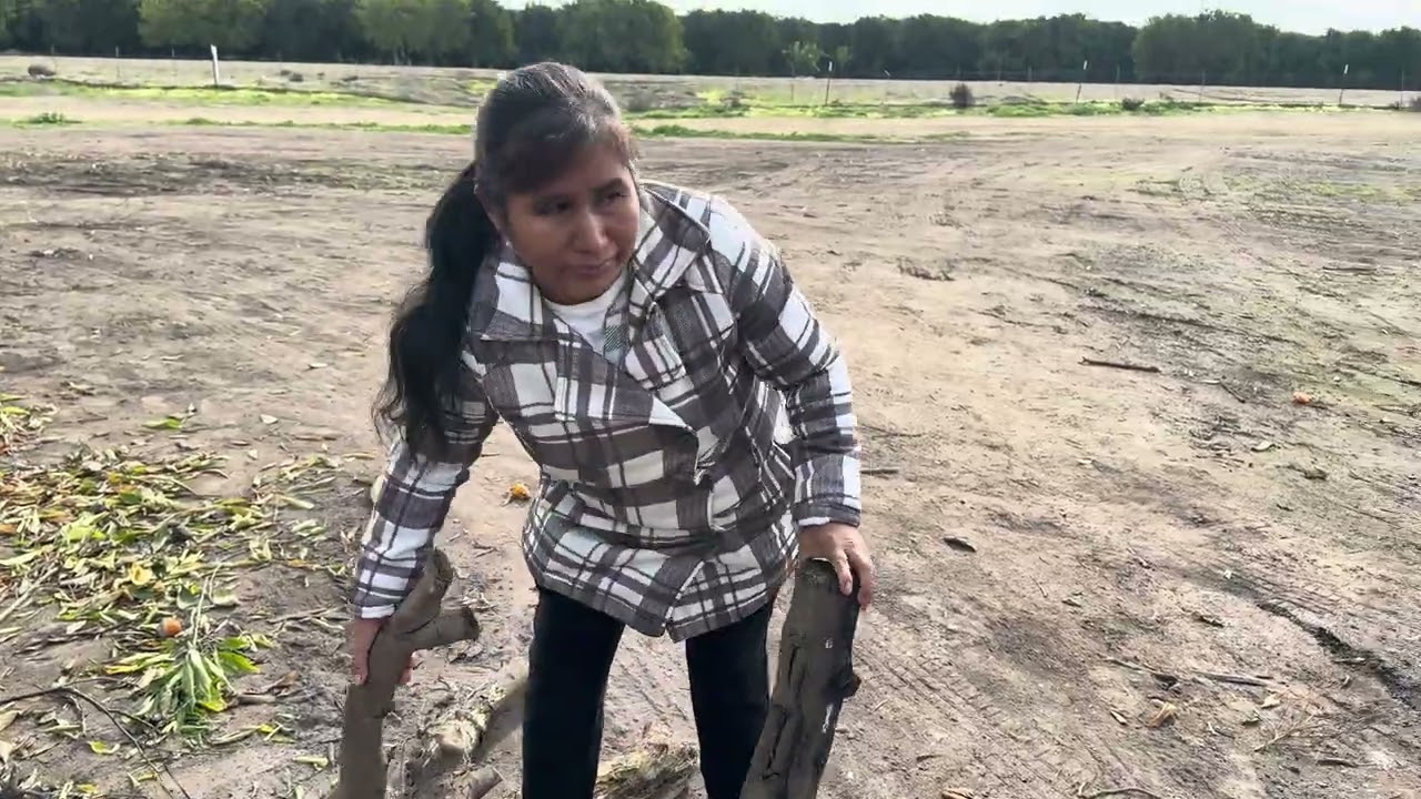 Venimos por un poco de leña al campo