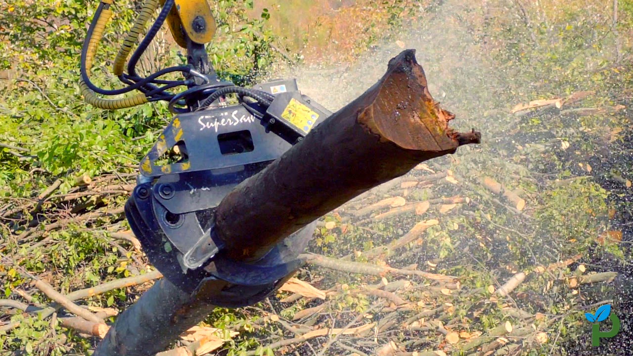 Abbattimento ed esbosco con teleferica - L'esperienza di Pellerei Energia in azione al Mottarone