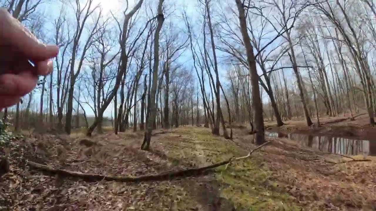 muddy path
