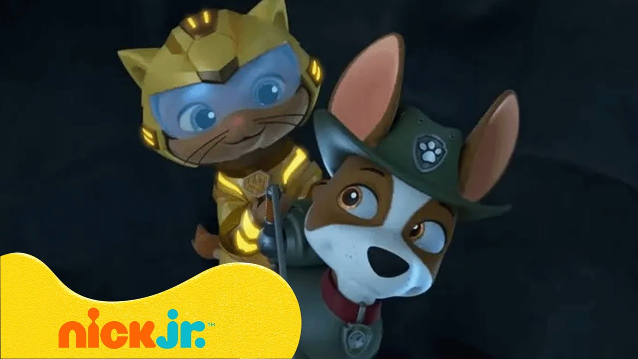 Psi Patrol | Psi Patrol i akcje w dżungli z Trackerem! 🐵 | 15 minut | Nick Jr. Polska