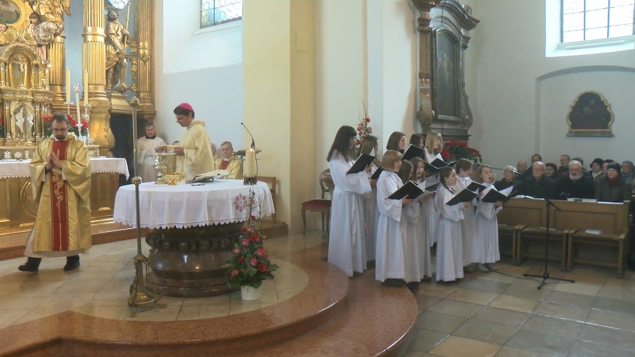 Bischof Stefan Oster feiert zum ersten Mal das Don Bosco Fest in Passau