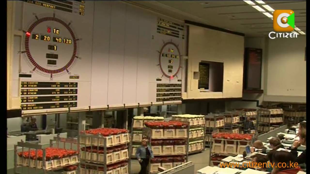 Netherlands Flower Auction Part1