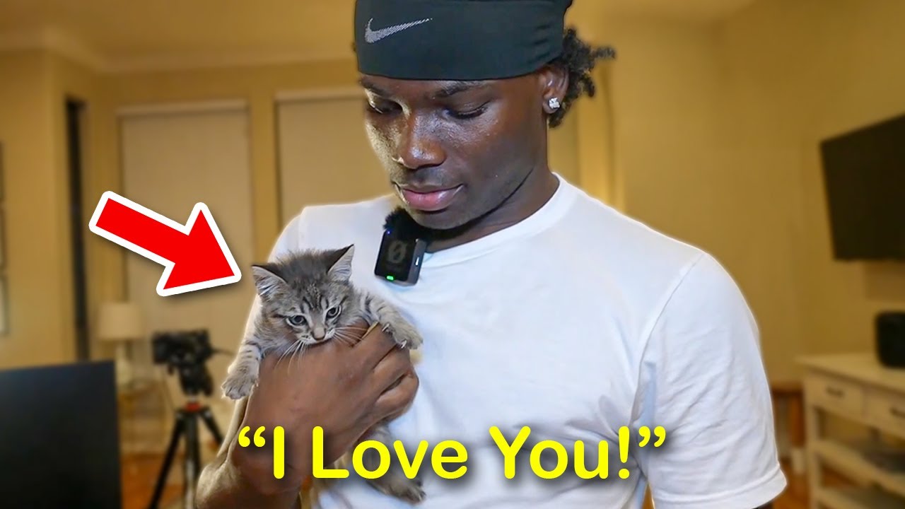 I Saved a Starving Kitten From a Dumpster!