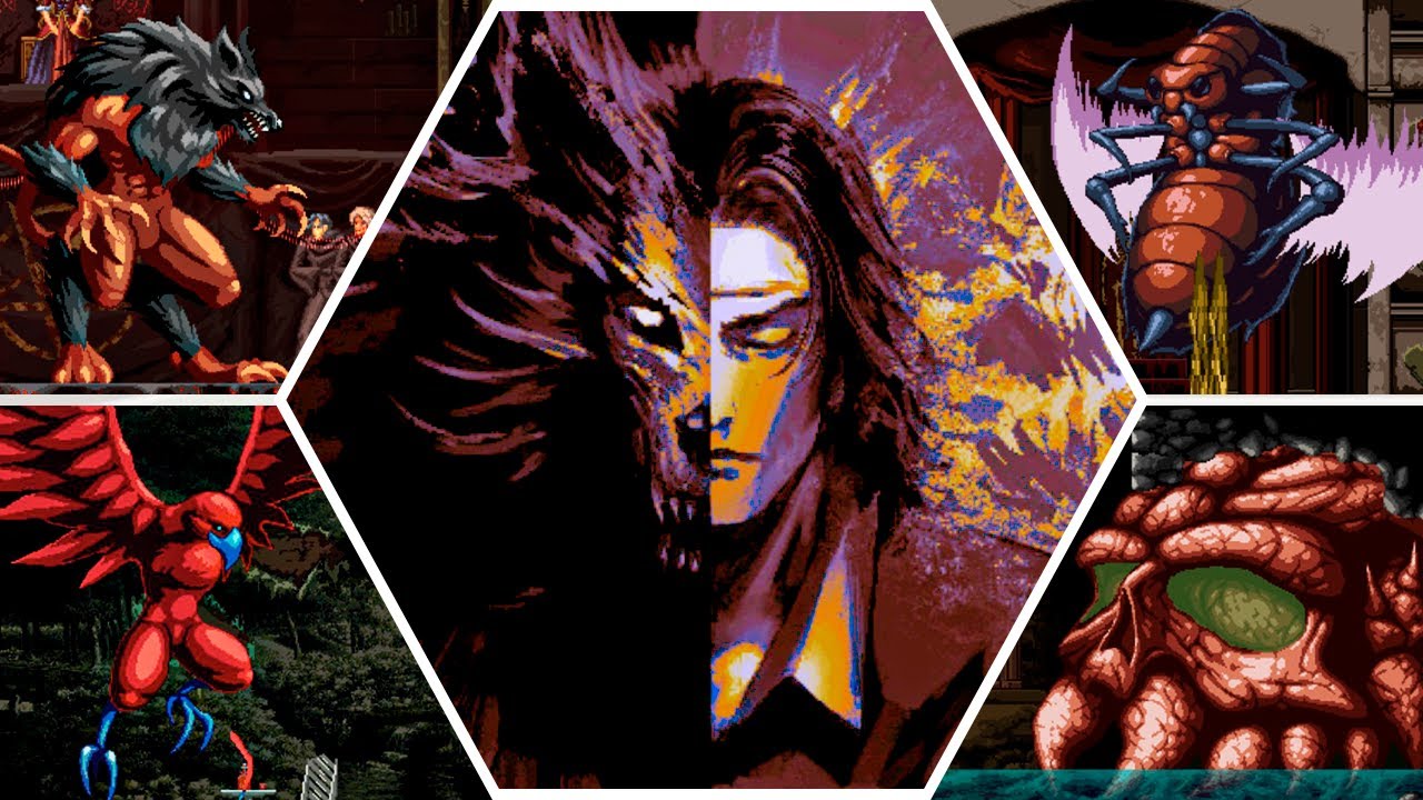 Chronicles of the Wolf — All Bosses (No Damage) & True Ending
