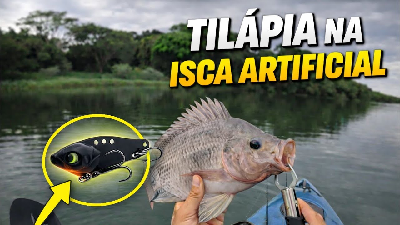 Pescaria de Tilápia na Isca Artificial, o jeito certo de pescar 