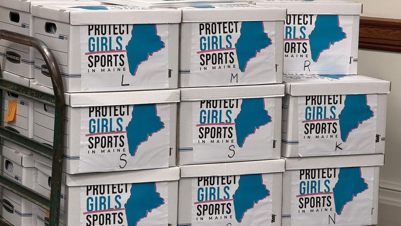 Maine Removes Anti Trans Student Referendum From Ballot Over Invalid Signatures