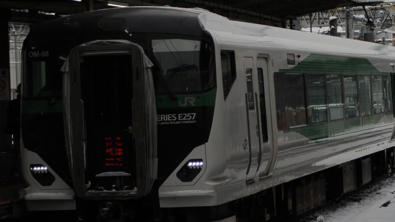 【草津・四万83号】E257系OM-55編成大宮駅到着 9083M