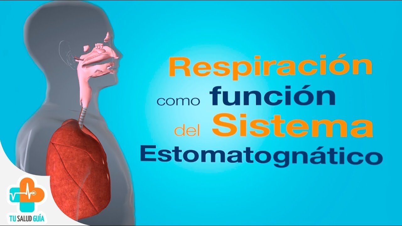 La Respiración como función del Sistema Estomatognático | Tu Salud Guía