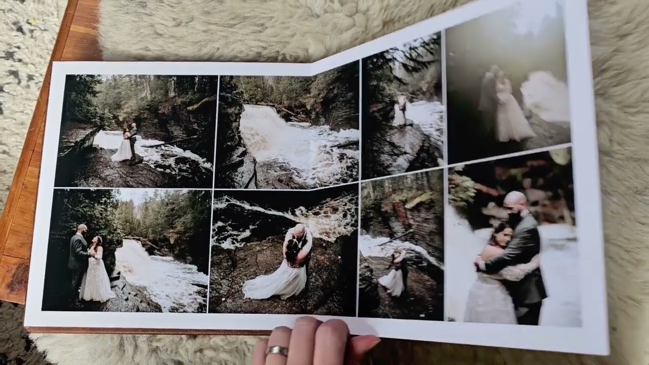 Lume Albums Highlight