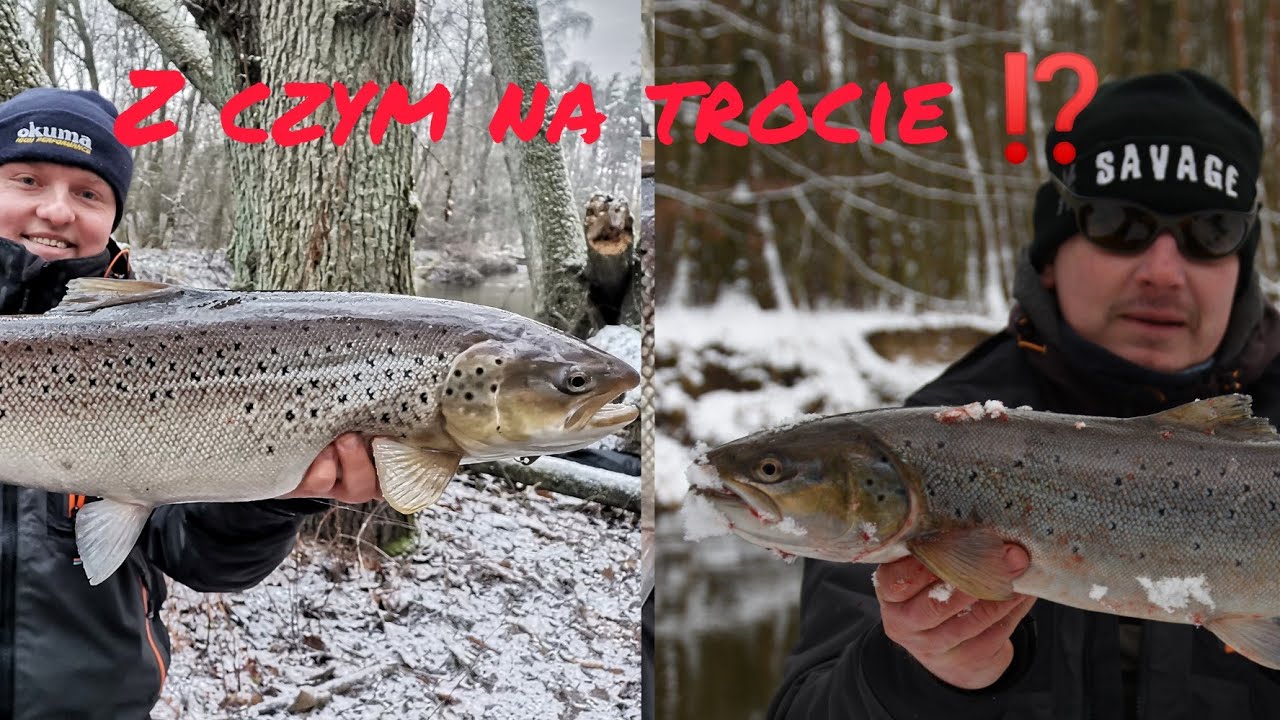 Z czym na trocie ⁉️⁉️⁉️ Odpowiadają przewodnicy wędkarscy Mateusz Kalkowski i Dawid Kaszlikowski 🎣🎣🎣