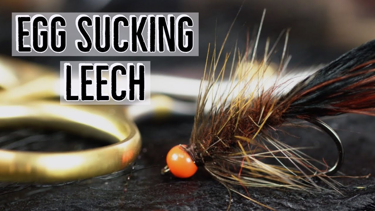 Egg Sucking Leech Fly Pattern (Fly Tying Tutorial)
