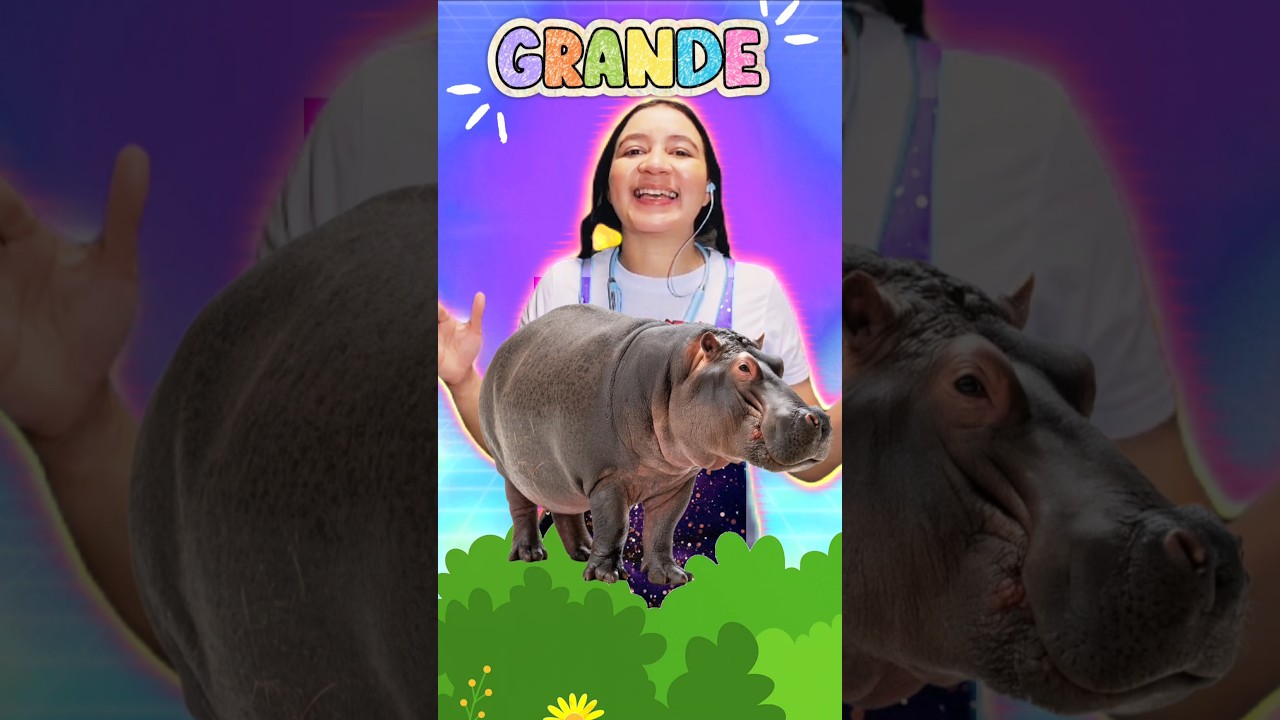 Palabras Antónimas en Español | Aprender las palabras para niños 👦 