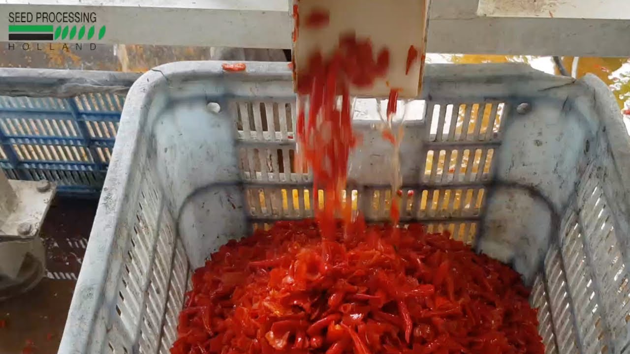 SPH's Chilli Pepper Seed Extraction Machine, EMM-1104