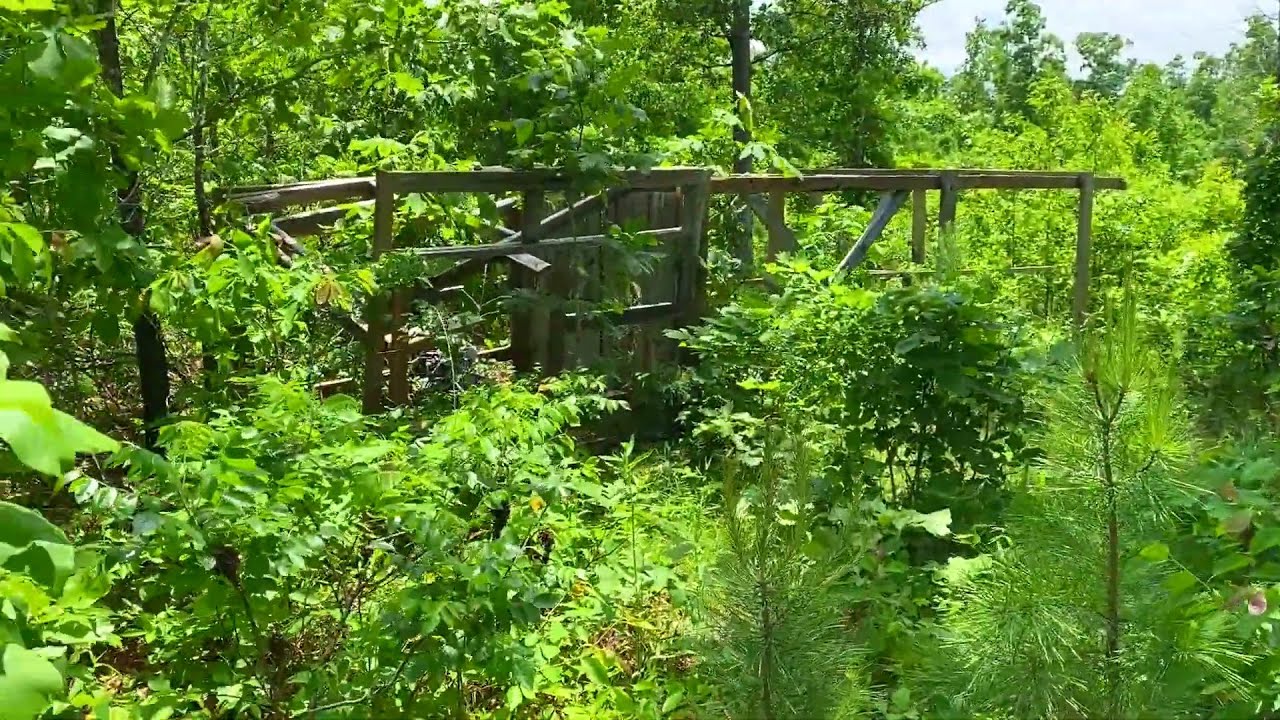 $1,500 Down Owner Financed 13 acres by Public Land & River!  Has old tower? InstantAcres.com #CB37