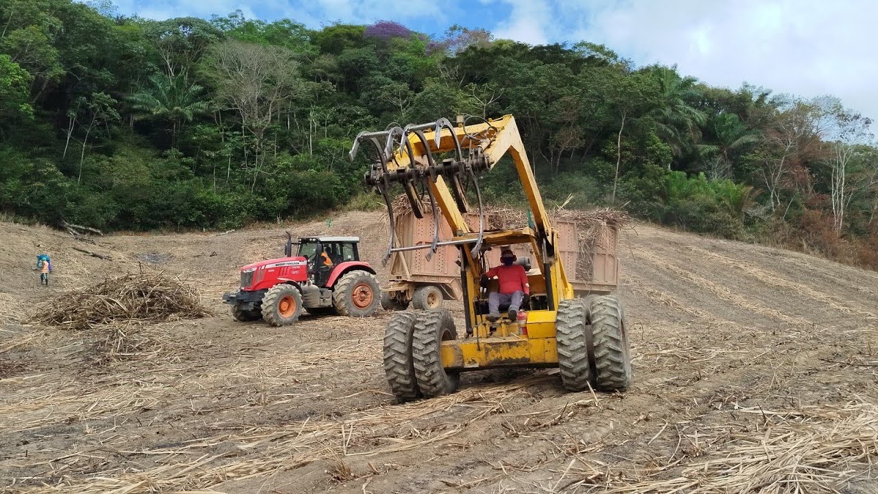 Do Campo A Usina: Transporte De Cana De Açúcar 