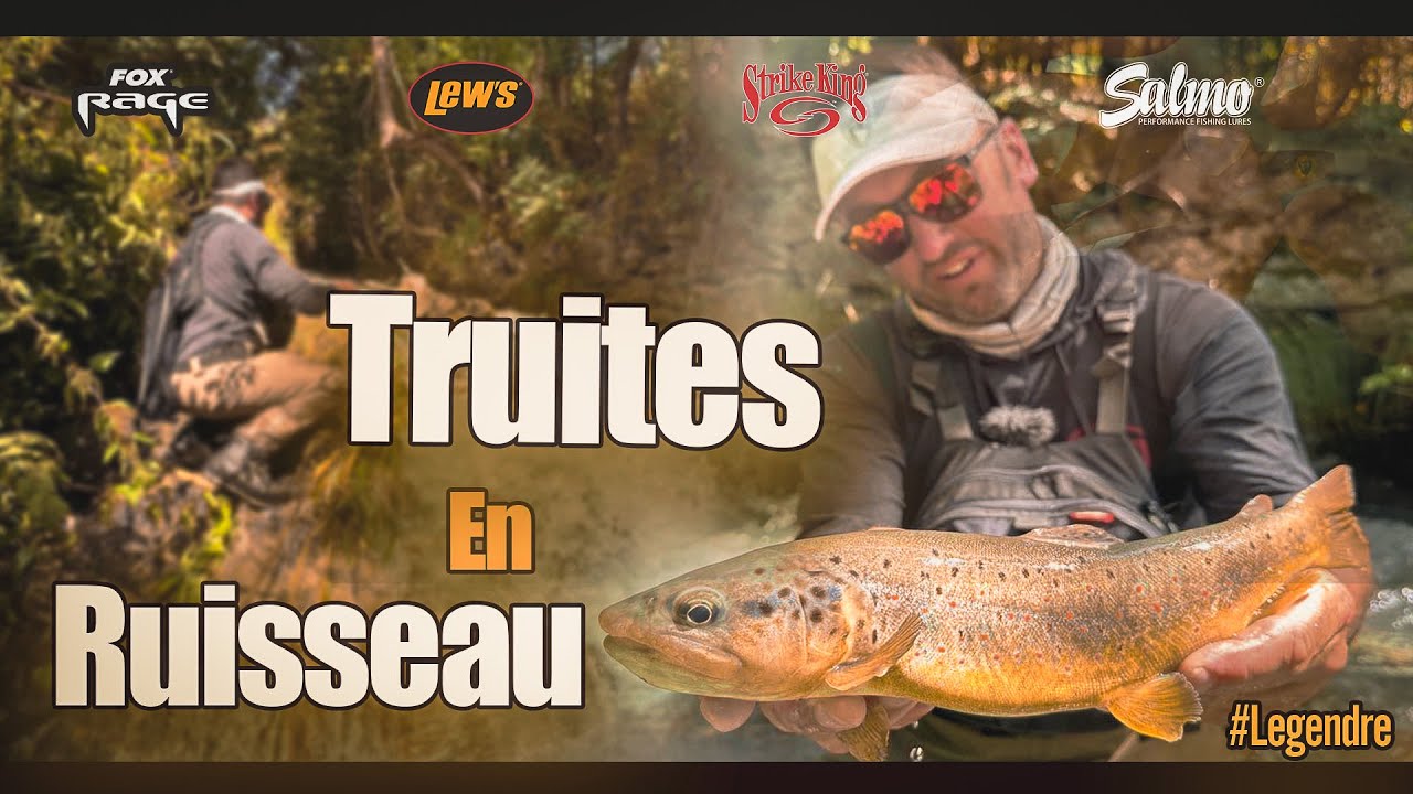 Truites en Ruisseau avec #sylvain #legendre