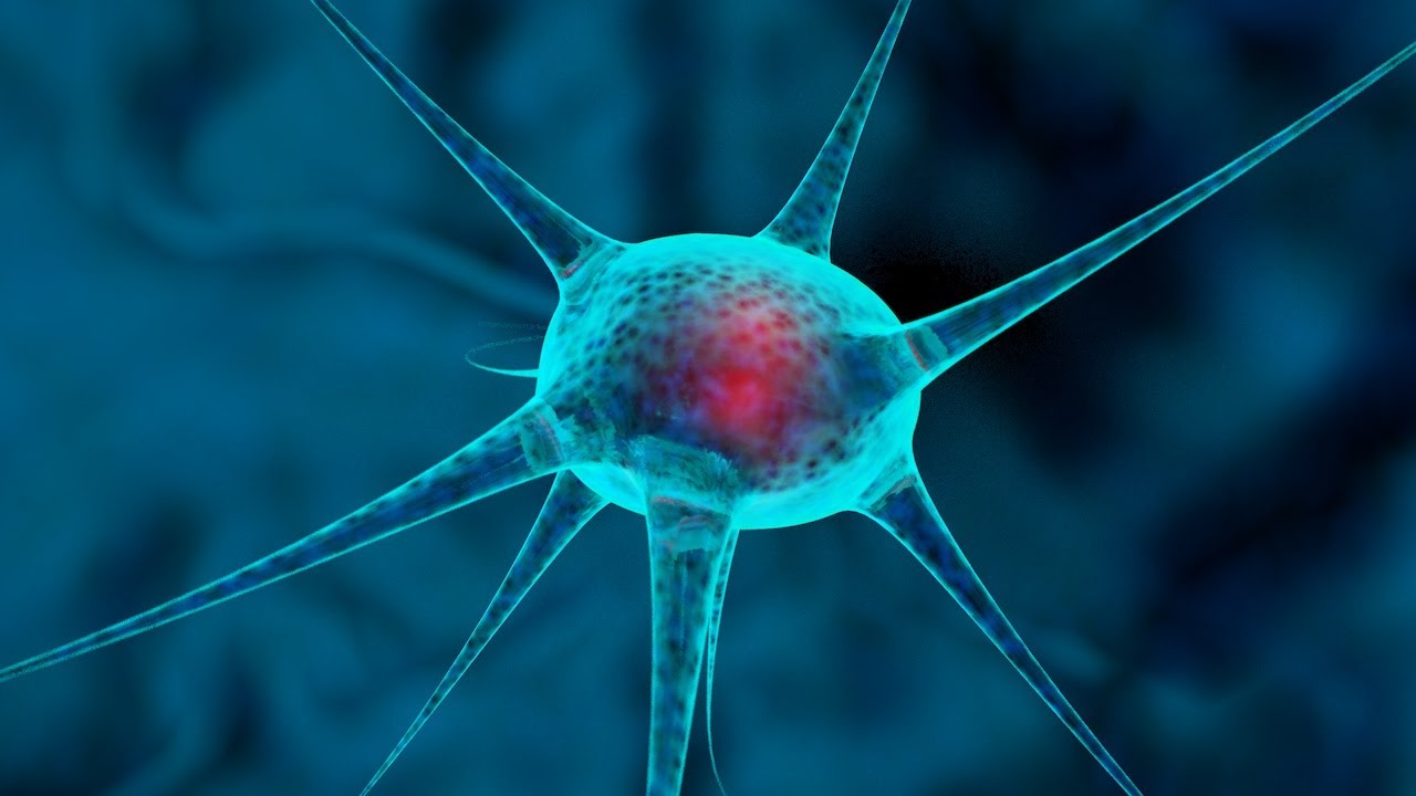 Cinema 4D Tutorial -  How to make a 3D Nerve Cell in Cinema 4D  