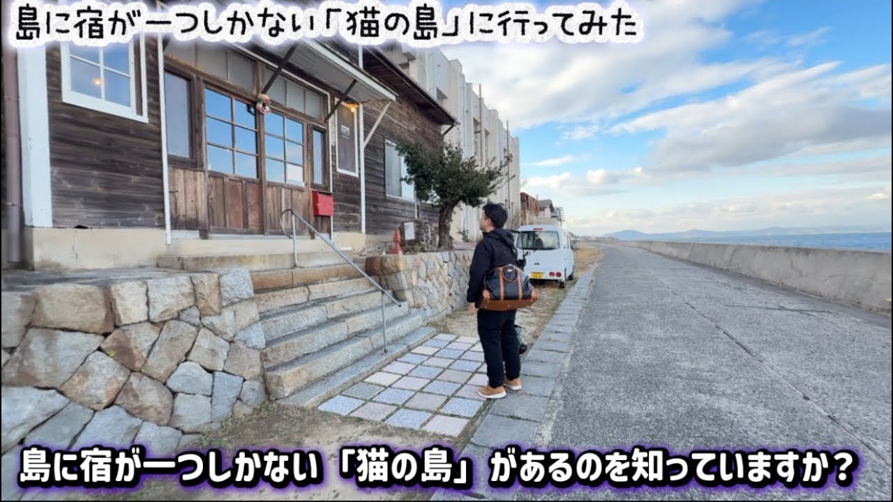 🐾 島に宿が一つしかない「猫の島」に行ってきました‼️