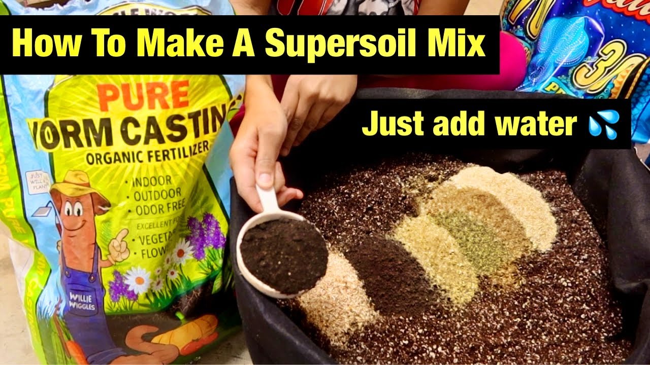 How To Make Organic Super Soil Mix | Beginners Guide (Small Batch)