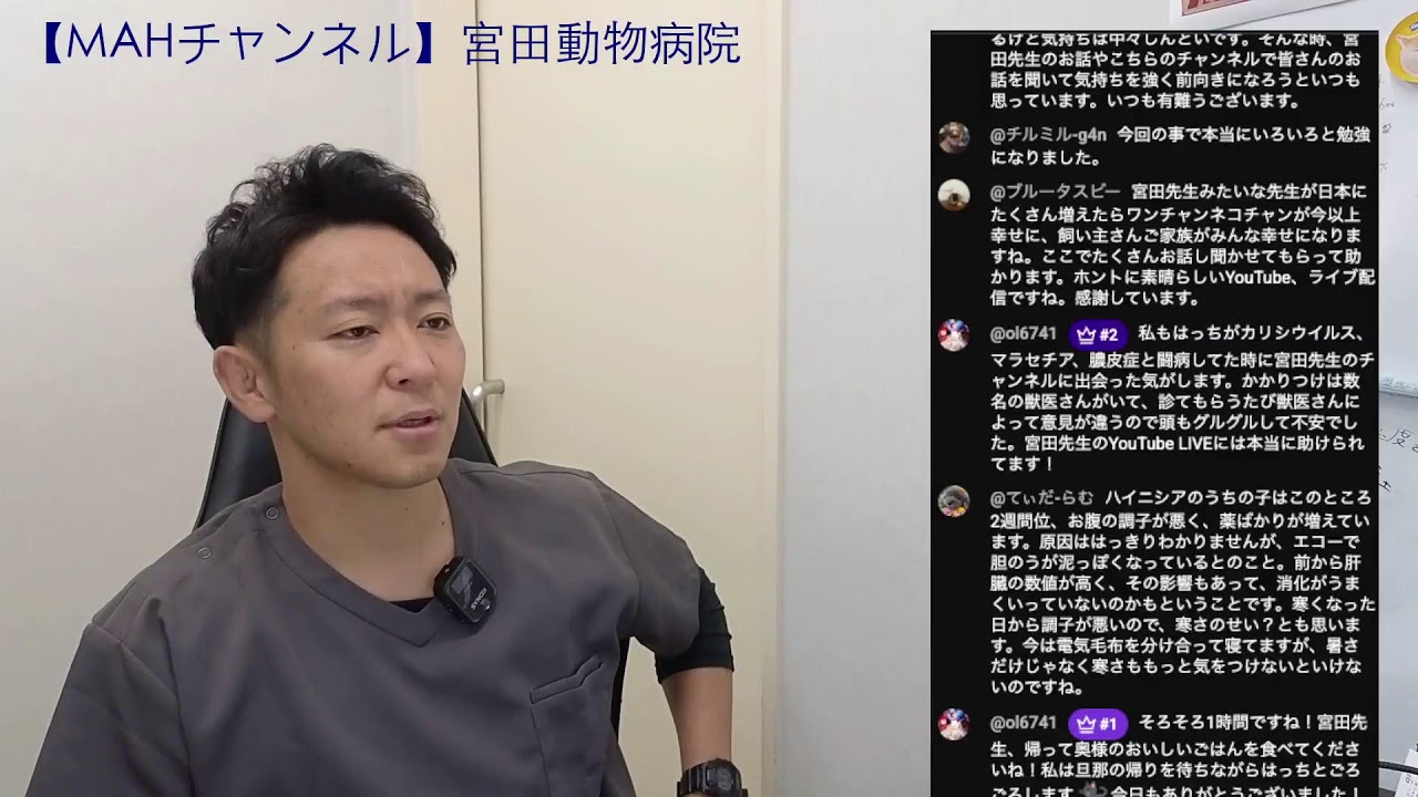 宮田動物病院 ライブ配信【MAHチャンネル】