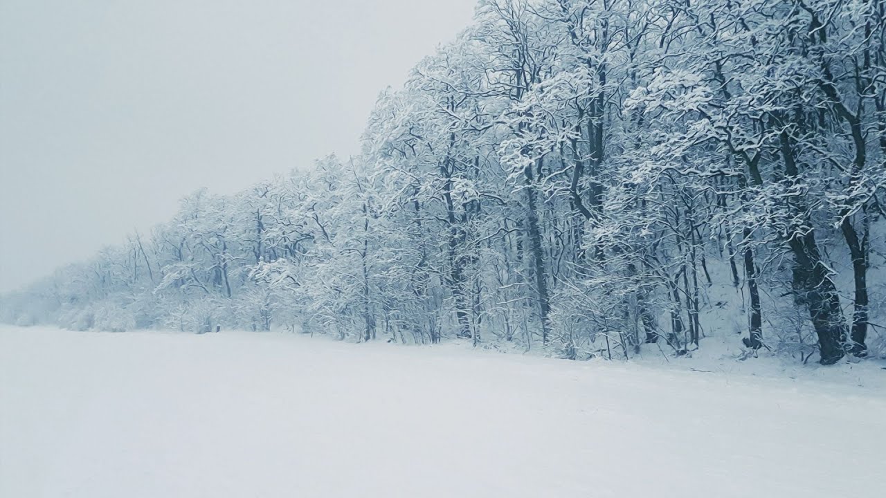 Bruit De La Neige Pour Dormir ⚡, se d&eacute;tendre ( Sons de temp&ecirc;te de neige dans la for&ecirc;t )