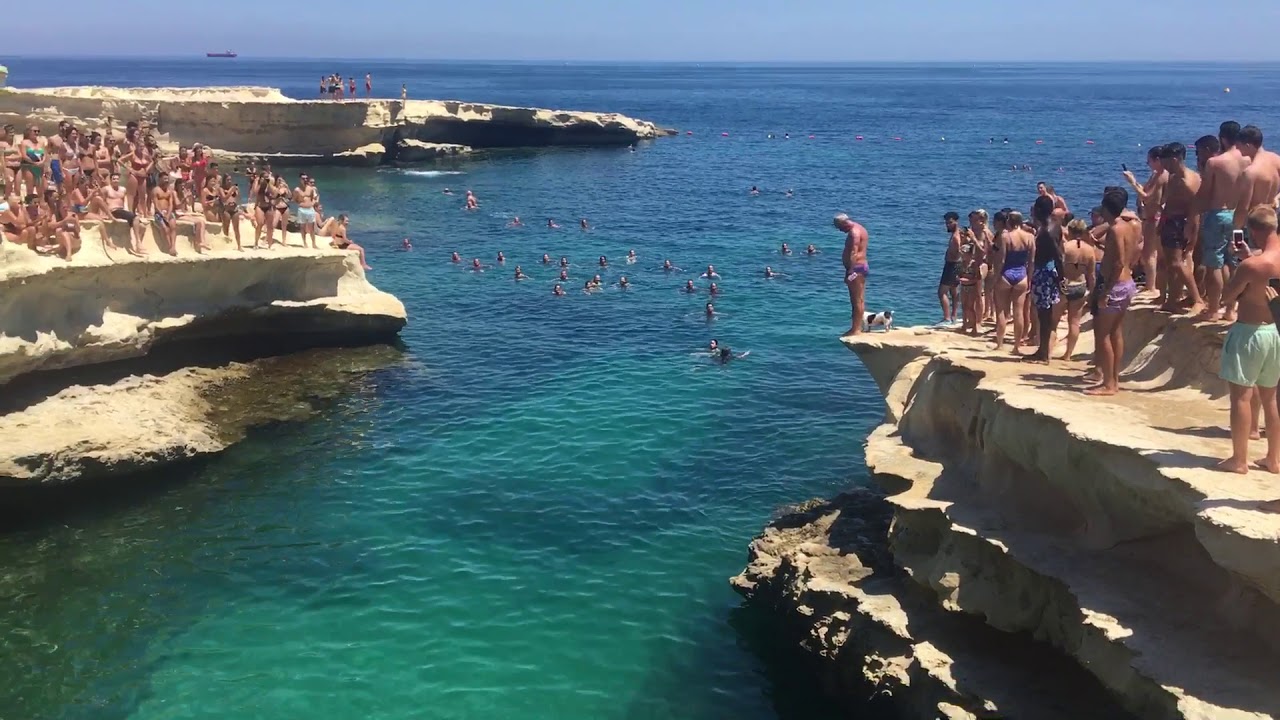 Dog Goes Cliffjumping!