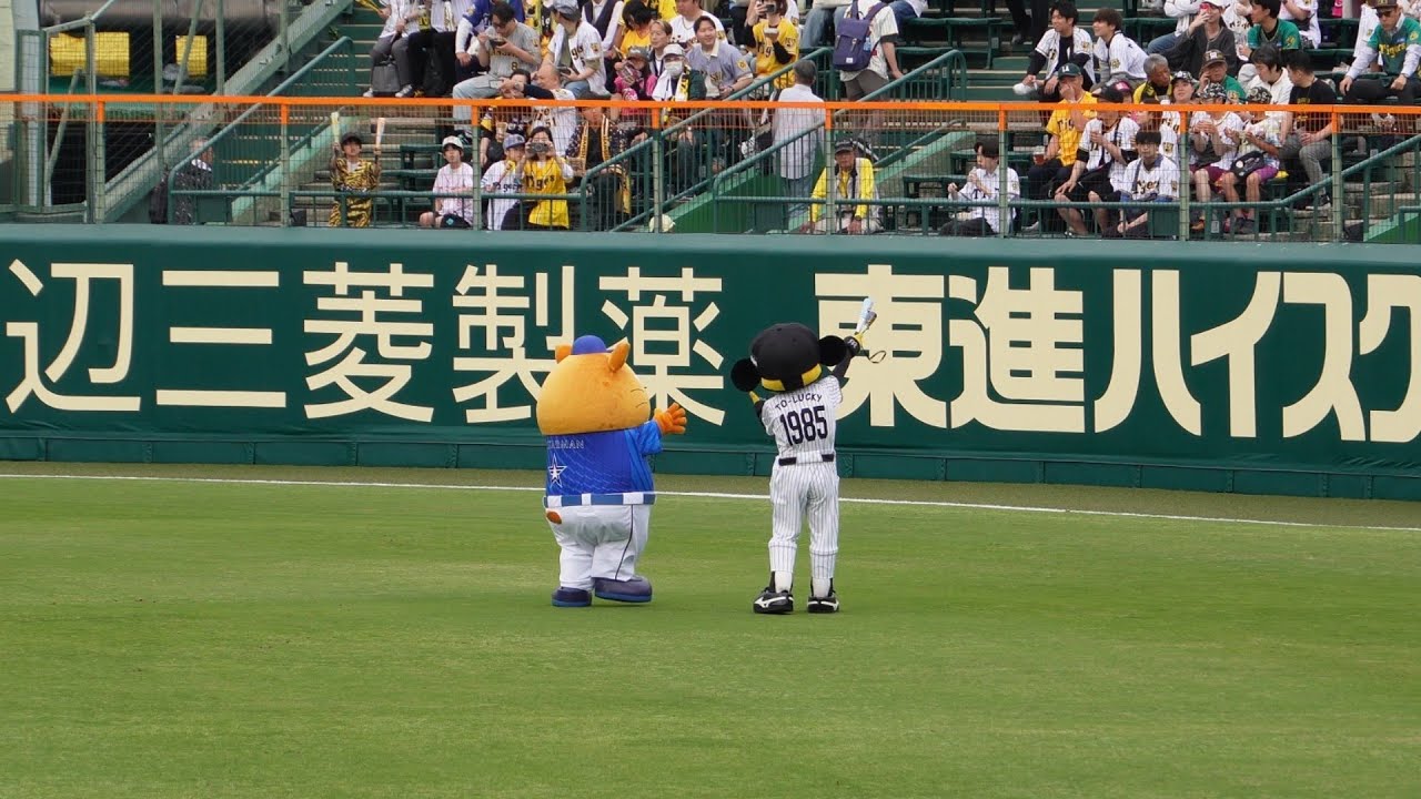 20250528 阪神×横浜 スターマンに甲子園球場のビジター席を案内するトラッキー
